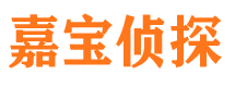 双城市私家侦探